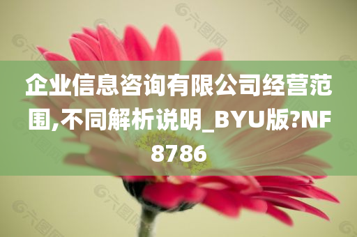 企业信息咨询有限公司经营范围,不同解析说明_BYU版?NF8786