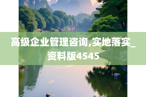 高级企业管理咨询,实地落实_资料版4545