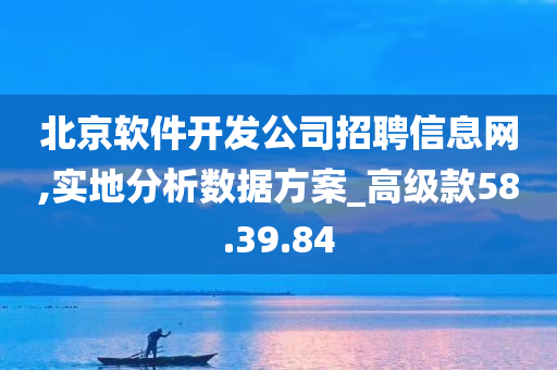 北京软件开发公司招聘信息网,实地分析数据方案_高级款58.39.84