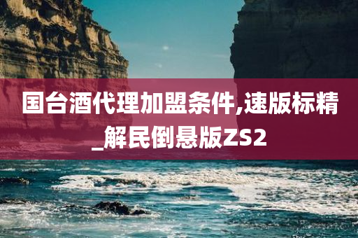 国台酒代理加盟条件,速版标精_解民倒悬版ZS2