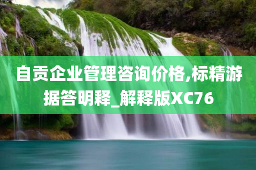 自贡企业管理咨询价格,标精游据答明释_解释版XC76