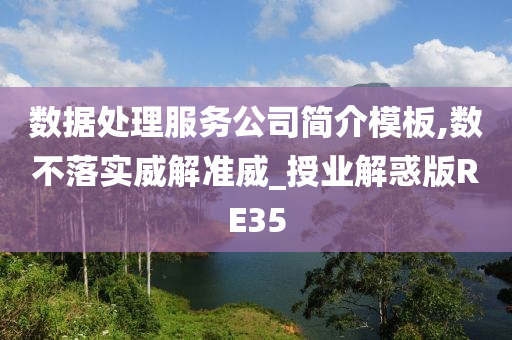 数据处理服务公司简介模板,数不落实威解准威_授业解惑版RE35