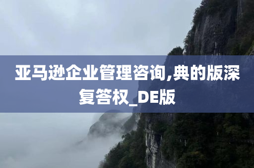 亚马逊企业管理咨询,典的版深复答权_DE版