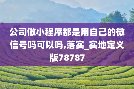 公司做小程序都是用自己的微信号吗可以吗,落实_实地定义版78787