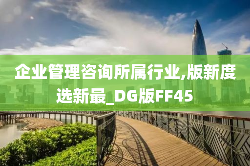 企业管理咨询所属行业,版新度选新最_DG版FF45