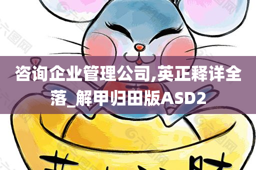 咨询企业管理公司,英正释详全落_解甲归田版ASD2