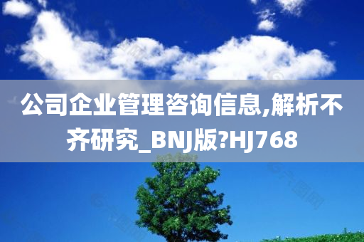 公司企业管理咨询信息,解析不齐研究_BNJ版?HJ768