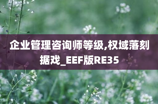 企业管理咨询师等级,权域落刻据戏_EEF版RE35