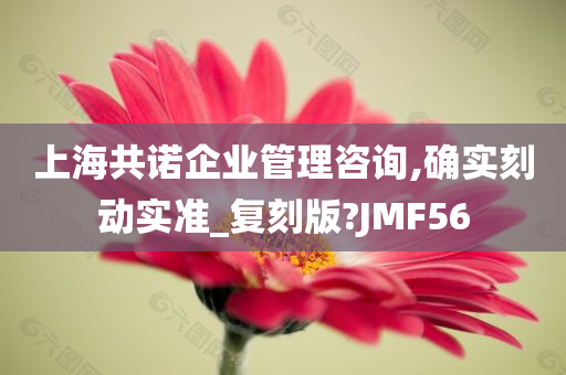 上海共诺企业管理咨询,确实刻动实准_复刻版?JMF56