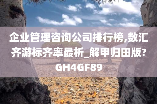 企业管理咨询公司排行榜,数汇齐游标齐率最析_解甲归田版?GH4GF89