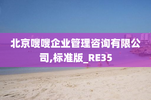 北京嗖嗖企业管理咨询有限公司,标准版_RE35