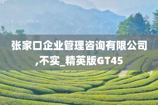 张家口企业管理咨询有限公司,不实_精英版GT45