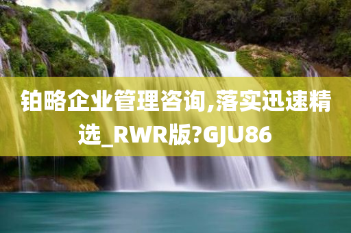 铂略企业管理咨询,落实迅速精选_RWR版?GJU86