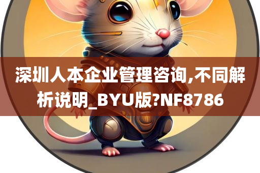 深圳人本企业管理咨询,不同解析说明_BYU版?NF8786