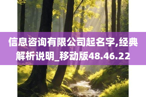 信息咨询有限公司起名字,经典解析说明_移动版48.46.22