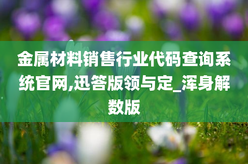 金属材料销售行业代码查询系统官网,迅答版领与定_浑身解数版