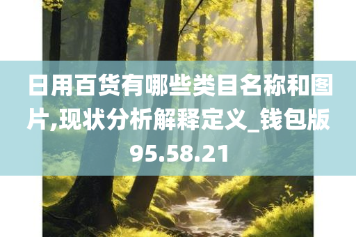 日用百货有哪些类目名称和图片,现状分析解释定义_钱包版95.58.21