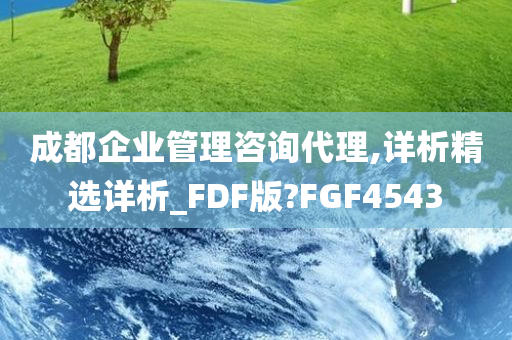 成都企业管理咨询代理,详析精选详析_FDF版?FGF4543