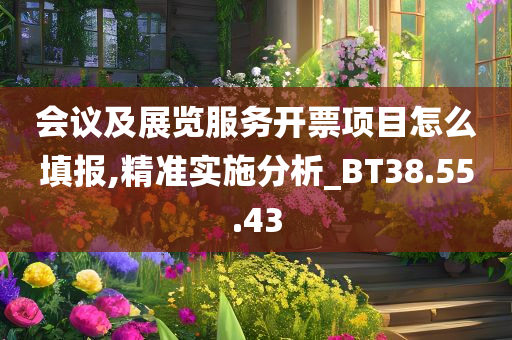 会议及展览服务开票项目怎么填报,精准实施分析_BT38.55.43