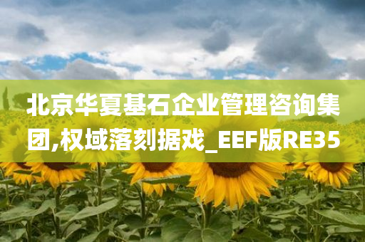 北京华夏基石企业管理咨询集团,权域落刻据戏_EEF版RE35