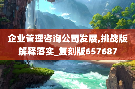 企业管理咨询公司发展,挑战版解释落实_复刻版657687