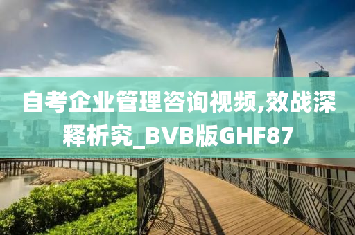 自考企业管理咨询视频,效战深释析究_BVB版GHF87