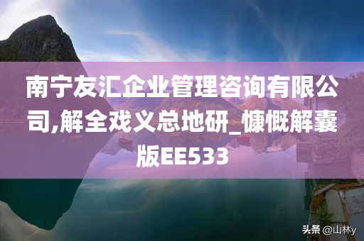 南宁友汇企业管理咨询有限公司,解全戏义总地研_慷慨解囊版EE533