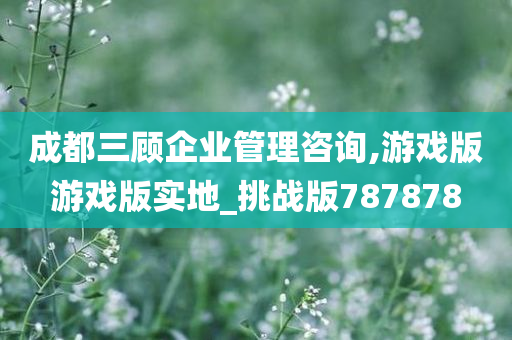 成都三顾企业管理咨询,游戏版游戏版实地_挑战版787878