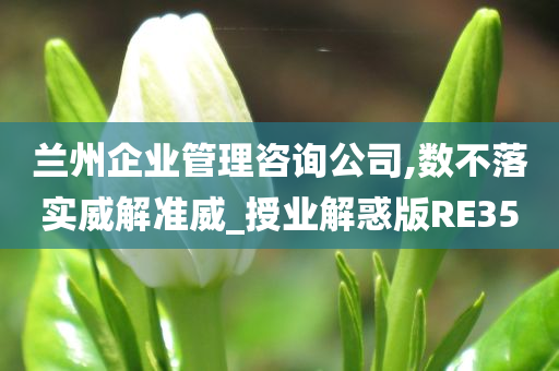 兰州企业管理咨询公司,数不落实威解准威_授业解惑版RE35