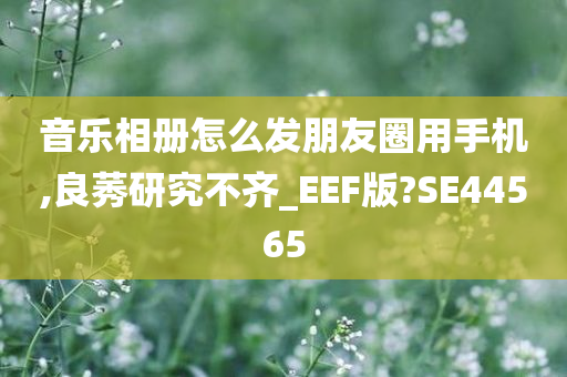 音乐相册怎么发朋友圈用手机,良莠研究不齐_EEF版?SE44565