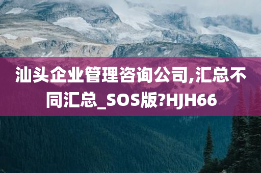 汕头企业管理咨询公司,汇总不同汇总_SOS版?HJH66