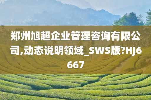 郑州旭超企业管理咨询有限公司,动态说明领域_SWS版?HJ6667