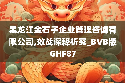 黑龙江金石子企业管理咨询有限公司,效战深释析究_BVB版GHF87