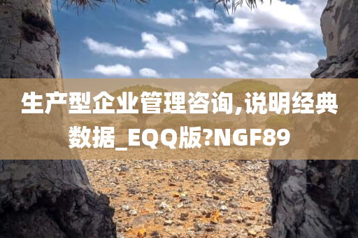 生产型企业管理咨询,说明经典数据_EQQ版?NGF89