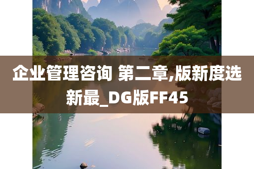 企业管理咨询 第二章,版新度选新最_DG版FF45