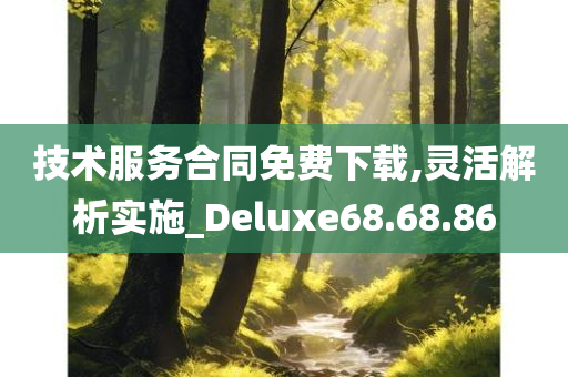 技术服务合同免费下载,灵活解析实施_Deluxe68.68.86