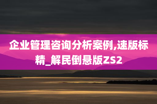 企业管理咨询分析案例,速版标精_解民倒悬版ZS2