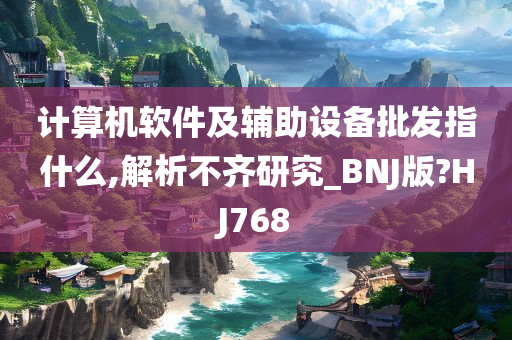 计算机软件及辅助设备批发指什么,解析不齐研究_BNJ版?HJ768