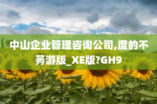 中山企业管理咨询公司,度的不莠游版_XE版?GH9