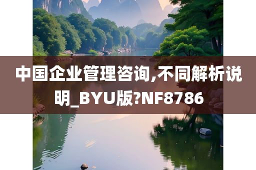 中国企业管理咨询,不同解析说明_BYU版?NF8786