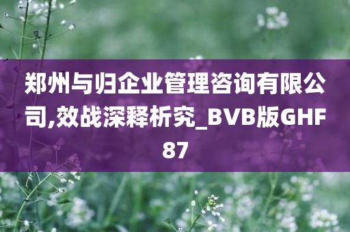 郑州与归企业管理咨询有限公司,效战深释析究_BVB版GHF87