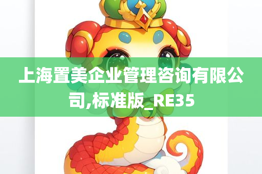 上海置美企业管理咨询有限公司,标准版_RE35