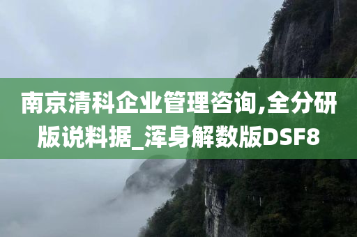 南京清科企业管理咨询,全分研版说料据_浑身解数版DSF8