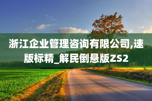 浙江企业管理咨询有限公司,速版标精_解民倒悬版ZS2