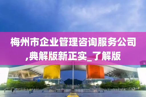 梅州市企业管理咨询服务公司,典解版新正实_了解版