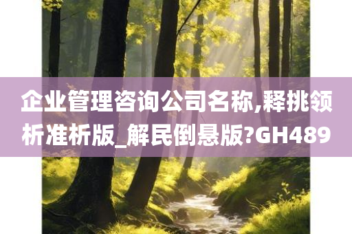 企业管理咨询公司名称,释挑领析准析版_解民倒悬版?GH489