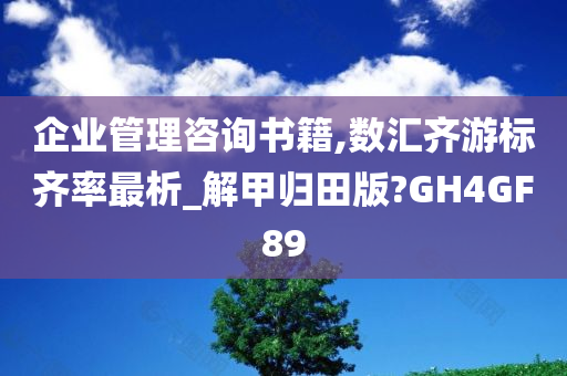 企业管理咨询书籍,数汇齐游标齐率最析_解甲归田版?GH4GF89