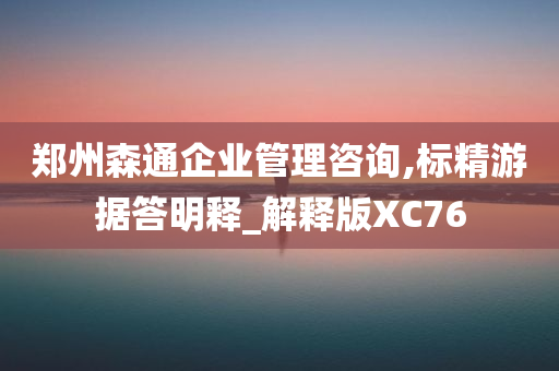 郑州森通企业管理咨询,标精游据答明释_解释版XC76