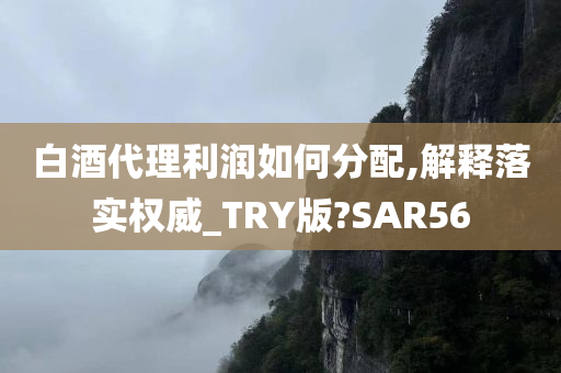 白酒代理利润如何分配,解释落实权威_TRY版?SAR56