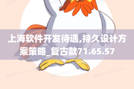 上海软件开发待遇,持久设计方案策略_复古款71.65.57